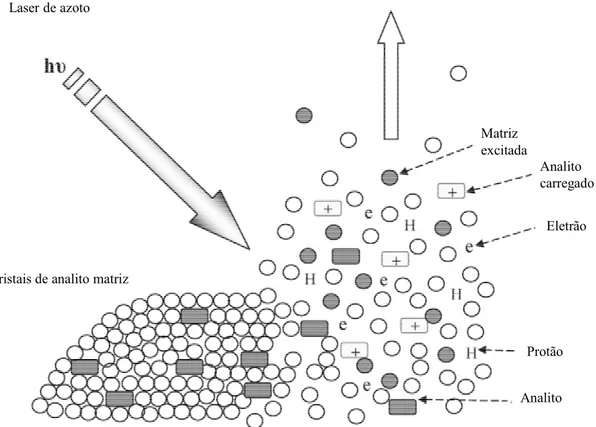 Figura 6- Processo de ionização por MALDI. Os cristais de analito matriz são bombardeados com laser UV  excitando a matriz, esta por sua vez transfere a energia para os analitos