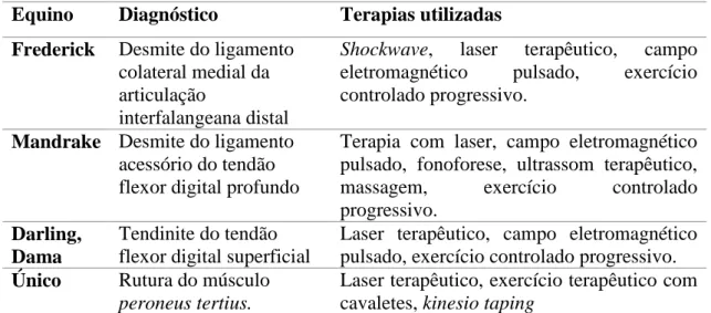 Tabela 1- Tabela de casuística observada e tratamentos realizados durante o estágio prático no Espaço Equus