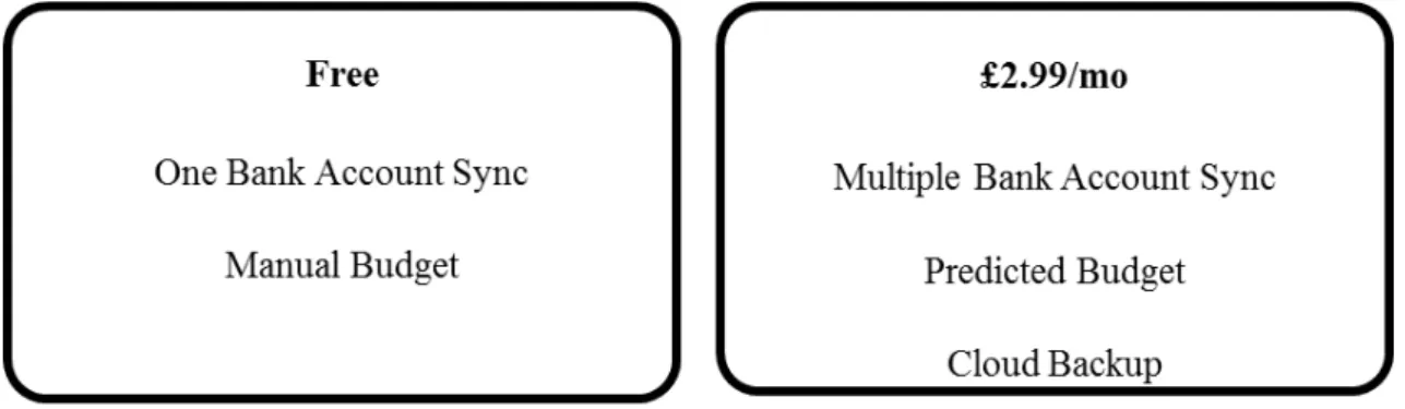 Figure 9: finzzy’ pricing package 
