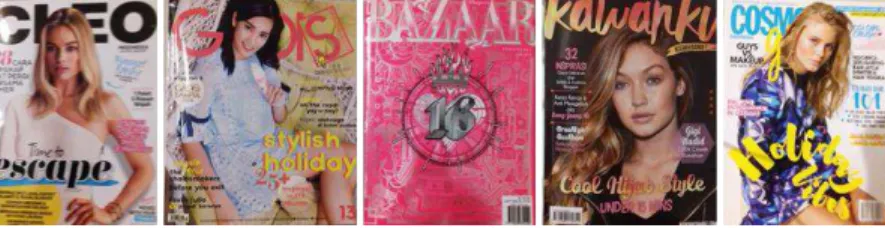 Figure 2A: Magazines analysed by WP author, 2016