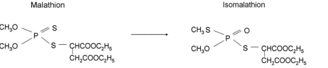 Figura 3: Transformação do malation em Isomalation, por isomerização térmica ou fotoquímica 