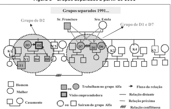 Figu r a  8  -  Gr u pos Se pa r a dos a  pa r t ir  de  1 9 9 1