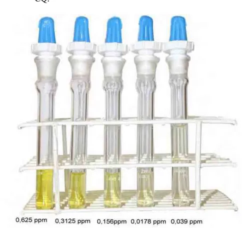 FIGURA 11 – Balões volumétricos de 2,0 ml contendo diferentes diluições da  solução padrão