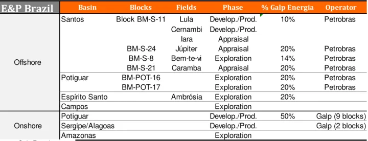 Table 6: E&amp;P segment in Brazil 