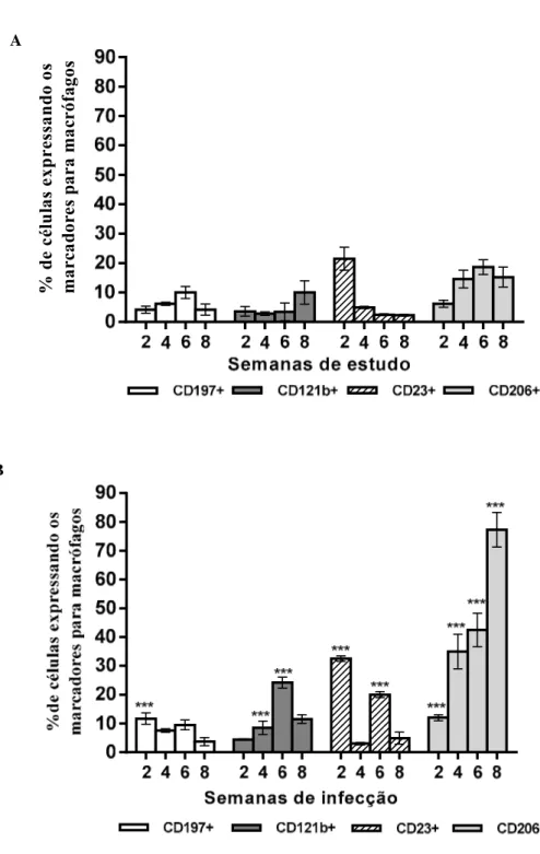 Figura 6. Fenotipagem dos marcadores para as populações M1 e M2 em células do exsudato  peritoneal (PECs) de camundongos Swiss não infectados (A) e infectados (B) com o fungo S