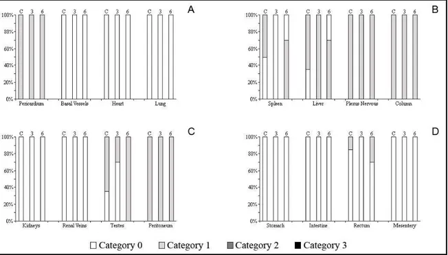 Figura 2 – Experimento de Fotoperíodo curto. Gráficos representando os padrões de  intensidade de pigmentação existentes em Rhinella schneideri (porcentagem): em (A)  pericárdio, vasos da base, coração e pulmão; (B) baço, fígado, plexo nervoso e coluna; (C