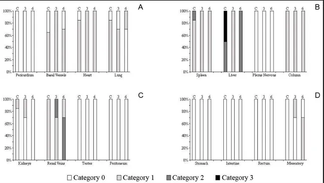 Figura 3 – Experimento de Fotoperíodo curto. Gráficos representando os padrões de  intensidade de pigmentação existentes em Dendropsophus nanus (porcentagem): em (A)  pericárdio, vasos da base, coração e pulmão; (B) baço, fígado, plexo nervoso e coluna; (C