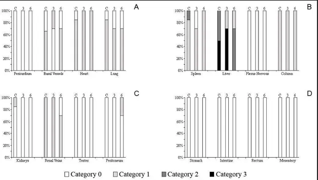 Figura 9 – Experimento de Fotoperíodo longo. Gráficos representando os padrões de  intensidade de pigmentação existentes em Dendropsophus nanus (porcentagem): em (A)  pericárdio, vasos da base, coração e pulmão; (B) baço, fígado, plexo nervoso e coluna; (C