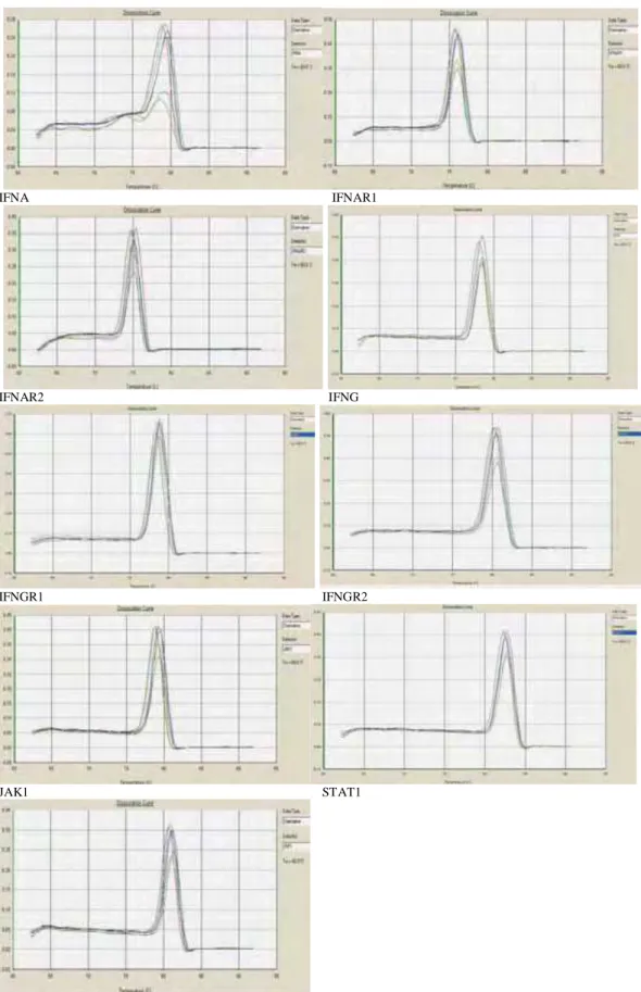 FIGURA 3 Curvas de dissociação dos genes alvo mostrando um único pico referente ao  Tm do respectivo amplicon, o que comprova a especificidade de cada par de primers