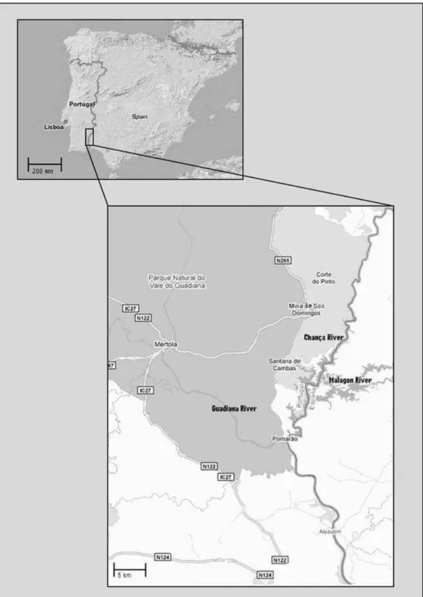 Figure 1.3. Geographic situation of São Domingos mine (Alentejo, Portugal) (source:   