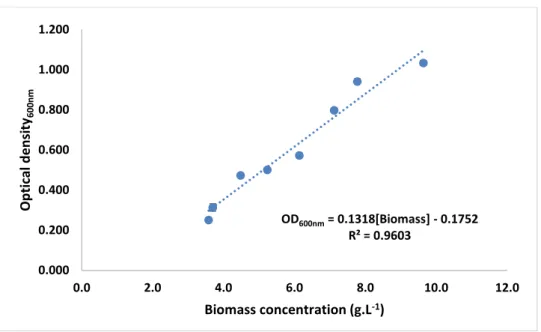 Figure 16 - Calibration curve between OD 600 nm  and biomass concentration of S. cerevisiae 