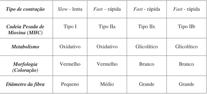 Tabela 1: Classificação dos tipos de fibra do músculo esquelético. 