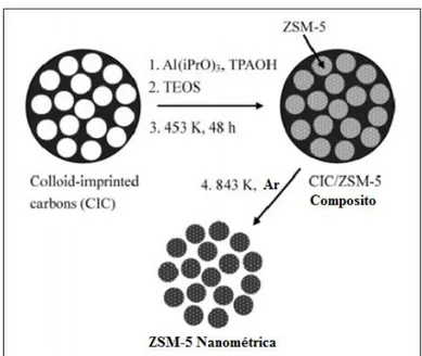 Figura 23 - Esquema de síntese por nanomoldagem para zeólita ZSM-5. 
