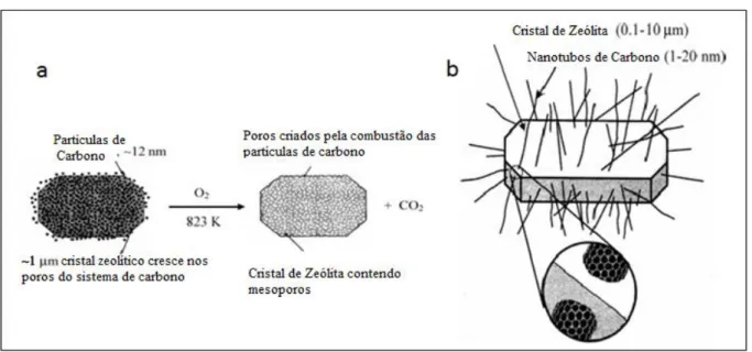 Figura 24 - Crescimento de cristais zeolíticos ao redor de moldes de carbono. 