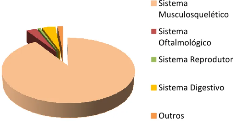 Gráfico II. Distribuição da casuística durante o período de estágio no Hospital Veterinário da FMVZ-USP