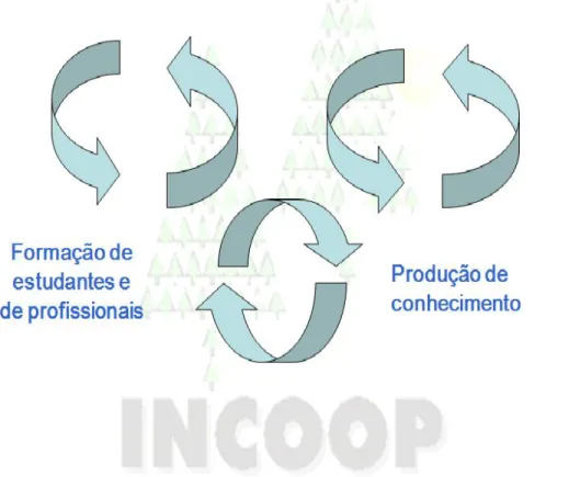 Figura 6: Estratégia de atuação da INCOOP 