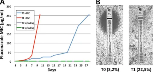 Fig. S1). Both strains were also evolved in the absence of ﬂuconazole to test for effects due to mistranslation alone (sufﬁx NF).