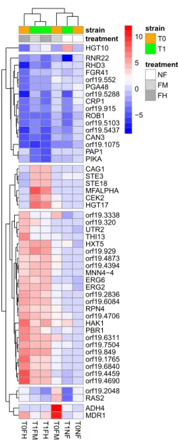FIG 3 Gene expression heatmap. Depicted are DEGs with a 4-log-fold change for at least one comparison and a false discovery rate-adjusted P value of ⬍ 1e ⫺ 18.