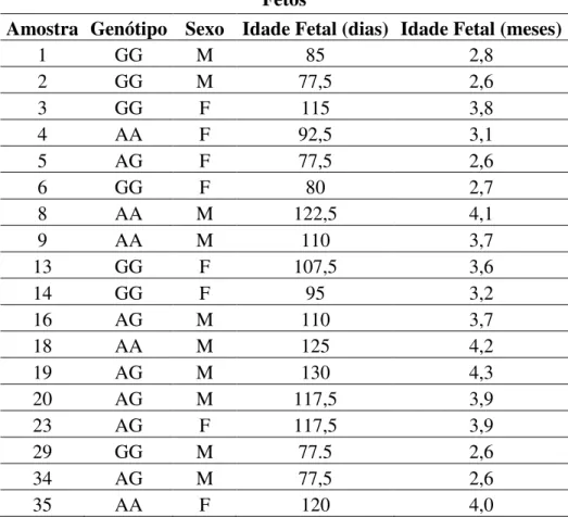 Tabela 4 – Amostras de fetos bovinos selecionadas e respectivos genótipos para o SNP no  gene CAST, sexo e idade fetal