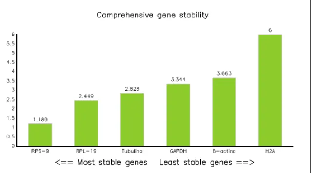 Tabela 9 – Classificação dos melhores genes referência para tecidos de bovinos adultos nos  métodos Delta Ct, BestKeeper, Normfinder e Genorm