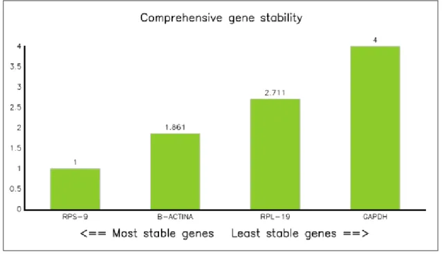 Figura  6  –  Valores  de  estabilidade  identificados  na  ferramenta  RefFinder  para  os  genes              referência RPS-9, β-actina, RPL-19 e GAPDH em tecidos de bovinos adultos