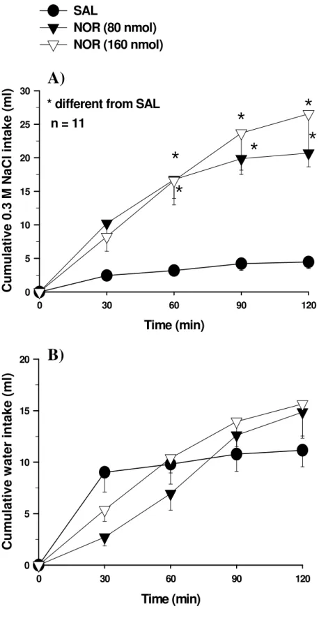 Figura  1: Ingestão cumulativa de NaCl 1,8% (A) e água (B) induzida por FURO + CAP em  ratos  tratados  com  injeções  bilaterais  de  noradrenalina  (NOR,  80  ou  160  nmol/0,2  µl)  ou  salina (SAL) no NPBL (publicado em GASPARINI et al., 2009)