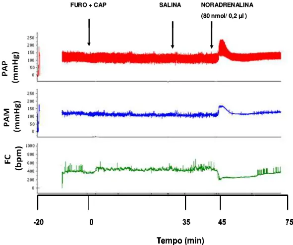 Figura    2:  Traçado  represent mmHg), pressão arterial médi tratado com furosemida (FUR peso corporal) s.c