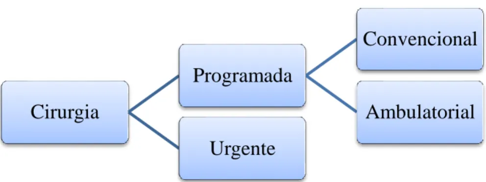 Figura 9 - Tipos de cirurgia