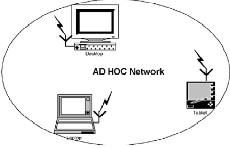 Figura 2.4 - Rede ad hoc 