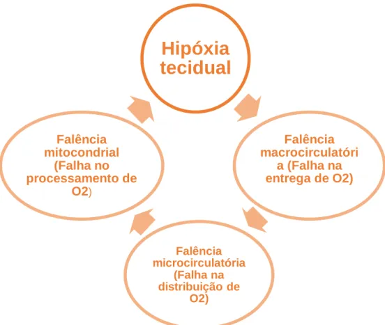Figura 2. Esquema representativo das potenciais causas de hipóxia tecidual. (Adaptado  de Kunzler, 2014)