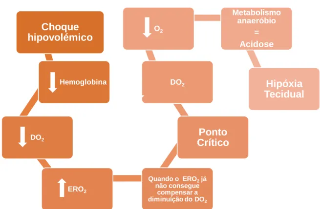 Figura 5. Esquema Representativo dos processos ocorridos durante o choque hipovolémico (Adaptado de  Costa, 2014)