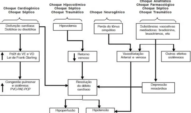 Figura 7. Efeitos fisiopatológicos básicos dos vários tipos de choque. (Adaptado de Vicent et al.,  2008)