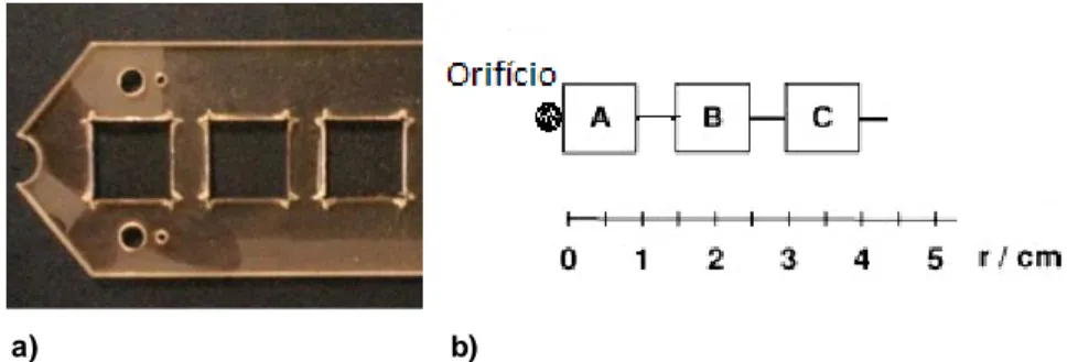 Figura 2  - Peça em acrílico utilizada para colheita das amostras  (a) e posições  radiais de  colheita (b)