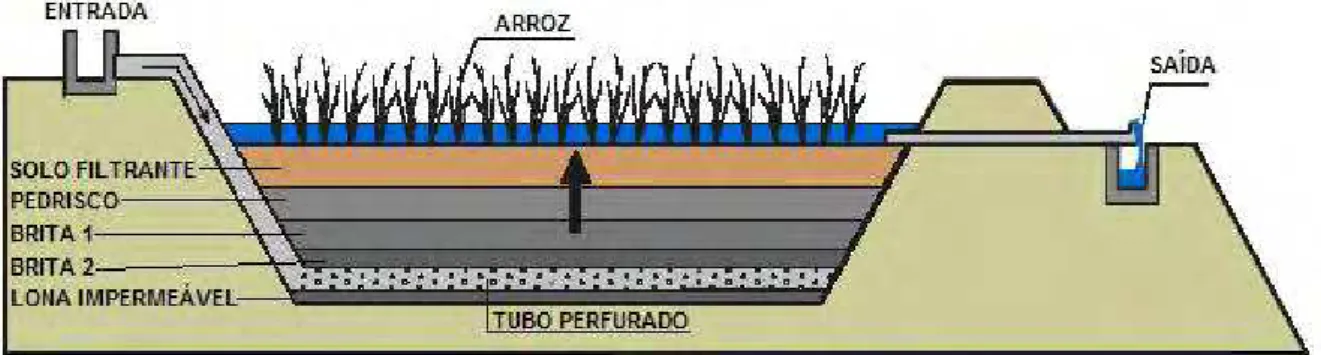 Figura 7. Desenho esquemático de um solo filtrante com fluxo ascendente. Fonte: Salati  (2000)