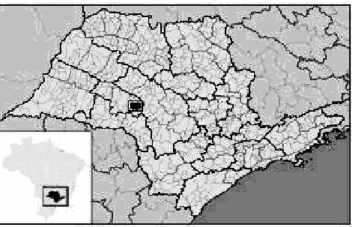 Figura 5. Localização geográfica da região de Marília, Estado de São Paulo. Fonte: IBGE, 2011