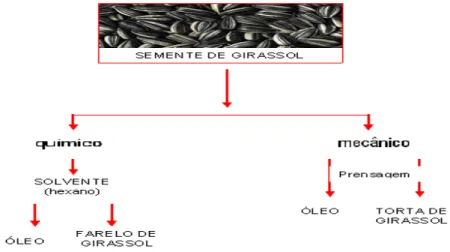 Figura 2. Aspecto da torta de girassol. a) em placas depois da prensagem. b) moída.  Foto: Oliveira, M.D.S