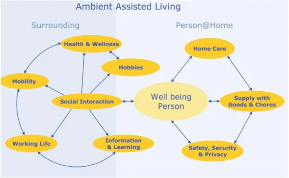 Figura 11 - Modelo multifactual que demonstra as necessidades de uma pessoa mais velha para o seu  contínuo bem-estar [1] 
