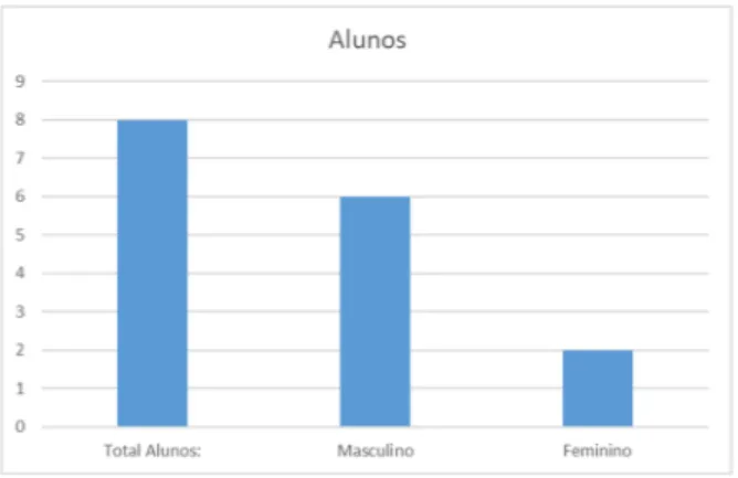 Ilustração 9 - Número de Alunos e Distribuição por Género – Turma X 