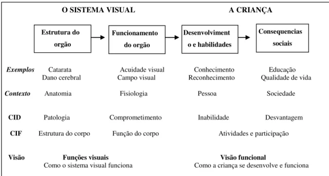 Figura 1. Aspectos relacionados à visão apresentados pela CID e CIF: 
