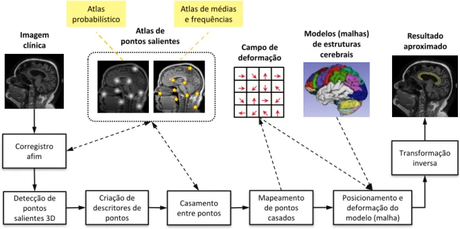 Figura 4.1: Etapas para aplicação do atlas no auxílio à segmentação de estruturas cerebrais por modelos geométricos (malhas) deformáveis.