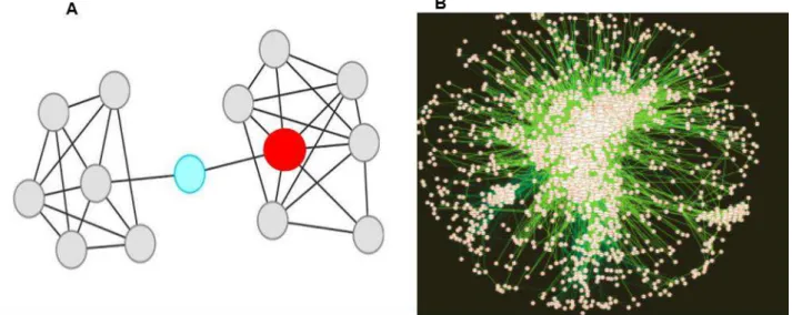 Figura 3 - A) Representação de nós com alto MCC (circulo azul) e alto Degree (circulo vermelha); B) Rede predita de interação  do proteoma predito de L
