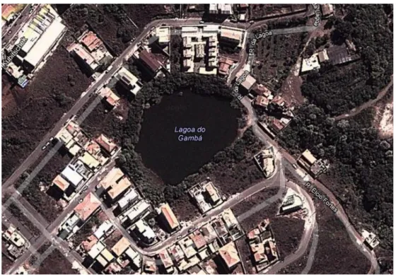 Figura  4.1  Ponto  de  coleta  -  Lagoa  do  Gambá,  cidade  de  Ouro  Preto  –   MG  -  20°43’51.11’’ de latitude S e 43°30’0.63’’ de longitude O 