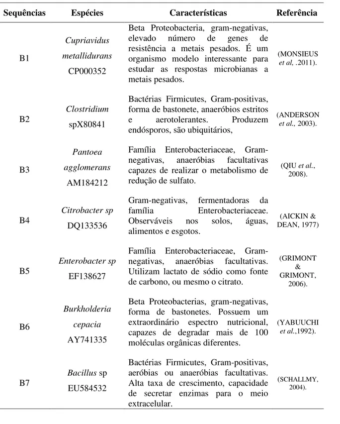 Tabela 5.4. Propriedades das espécies identificadas. 