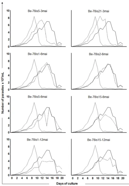 Fig 1. Growth kinetics in acellular culture medium. Growth kinetics of epimastigotes in LIT medium from days 0 to 20 of the parasites isolates obtained from hemoculture at 3, 6 or 12 months after infection of Swiss mice with 5000 blood trypomastigotes from