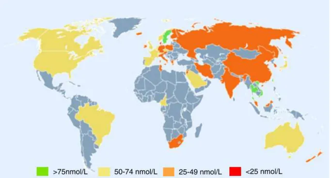 Figura 3: Status de 25(OH)D em adultos (&gt;18 anos) por região quando disponível. Os valores usados  para calcular a média de 25(OH)D foram obtidos na estação do inverno (Fonte: Wahl, 2012) 