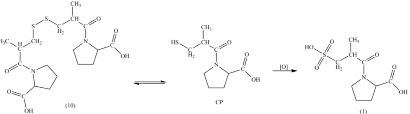 Figure 7. Possible transformation pathways followed by captopril after chlorination. 