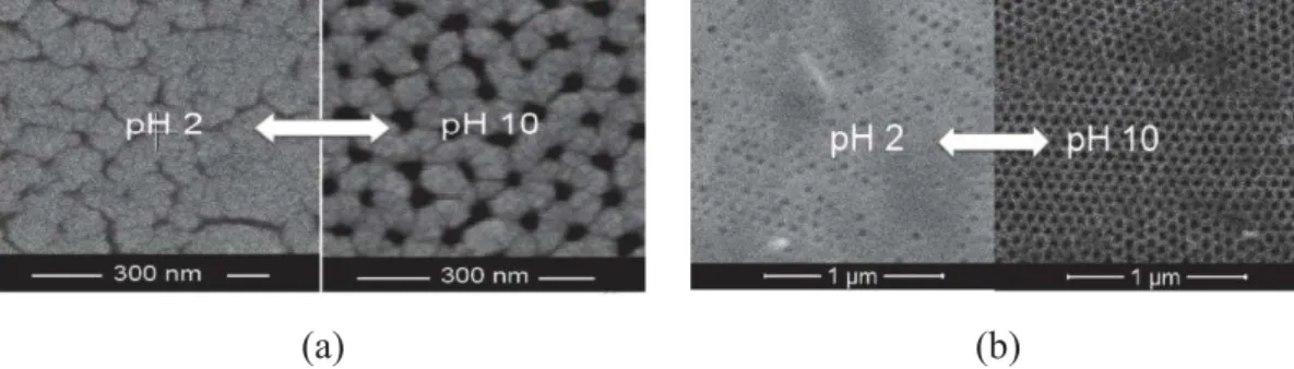 Figure 1.1.11.  (a) Cryo-field emission scanning  electron microscopy and  (b) environmental scanning  electron microscopy of PS-b-P4VP membranes casted from a copolymer solution in DMF/THF/Cu ++ ,  immersed in HNO 3  (pH 2) and NH 4 OH (pH 10) aqueous sol