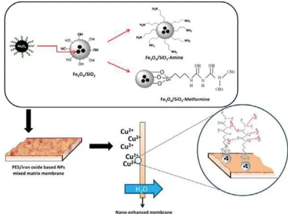 Figure 1.2.6. Synthesis of MMMs with surface modified INPs (Reprinted from Gohami et al., Chemical  Engineering Journal 263 (2015) 101–112) 