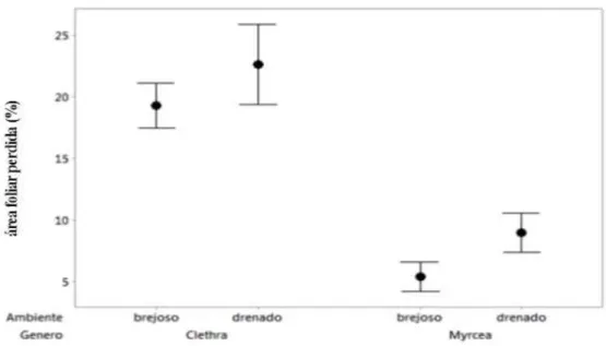 Figura 5: Relação entre a área foliar perdida por herbivoria, entre os gêneros Myrcia e  Clethra, e entre os ambientes  (solo brejoso e solo drenado), Parque Estadual do Itacolomi, MG, Brasil 