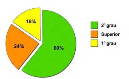 Figura 2: Gráfico mostrando a porcentagem de usuários de computadores  de acordo com o grau de escolaridade
